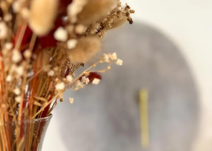 Le Duplex - Proche De La Gare - Centre-ville *